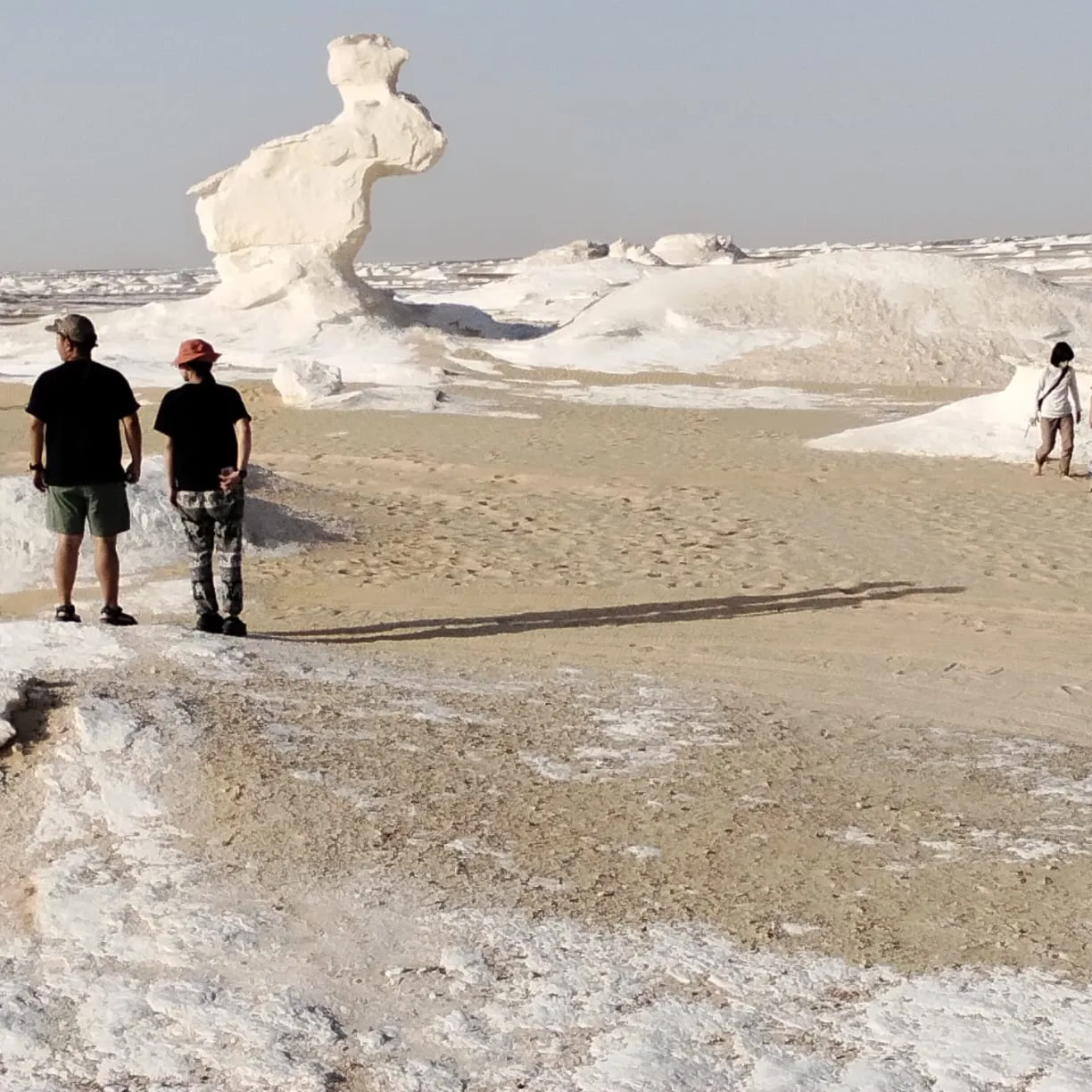 🏜️ White Desert Safari Adventure White Desert Safiri Adventure /IMG-20260703-WA0101.jpg
